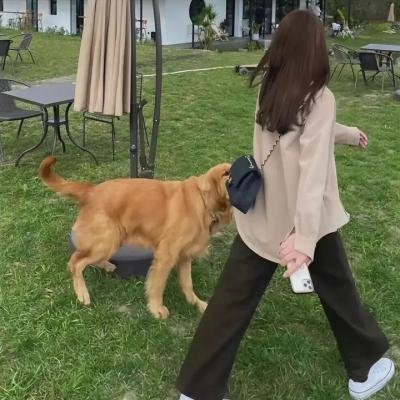触目惊心